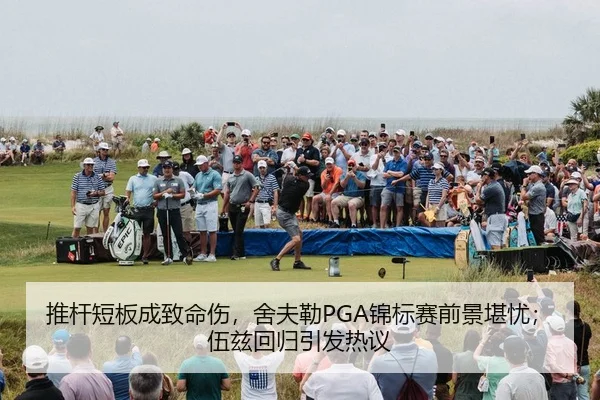 tui-gan-duan-ban-cheng-zhi-ming-shang-she-fu-lei-jin-biao-sai-qian-jing-kan-you-wu-zi-hui-gui-yin-fa-re-yi-2-767.jpg