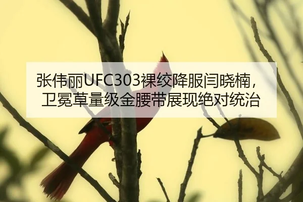 zhang-wei-li-luo-jiao-xiang-fu-yan-xiao-nan-wei-mian-cao-liang-ji-jin-yao-dai-zhan-xian-jue-dui-tong-zhi-2-126.jpg