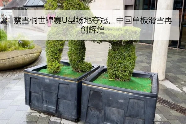 蔡雪桐世锦赛U型场地夺冠，中国单板滑雪再创辉煌